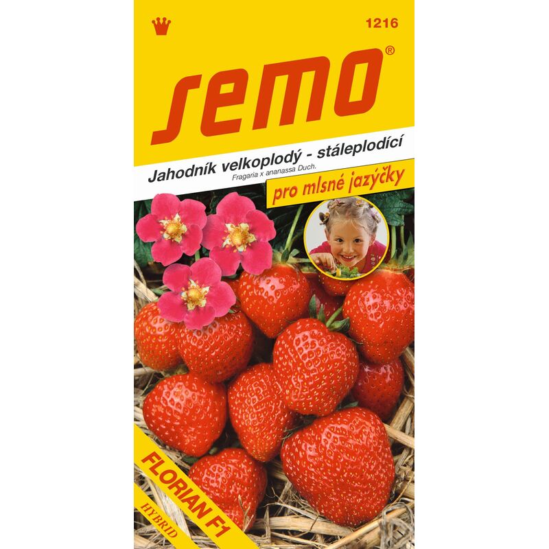 jahodník FLORIAN F1 12s. *** ***