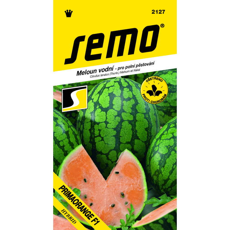meloun PRIMAORANGE F1  8s. *** ***