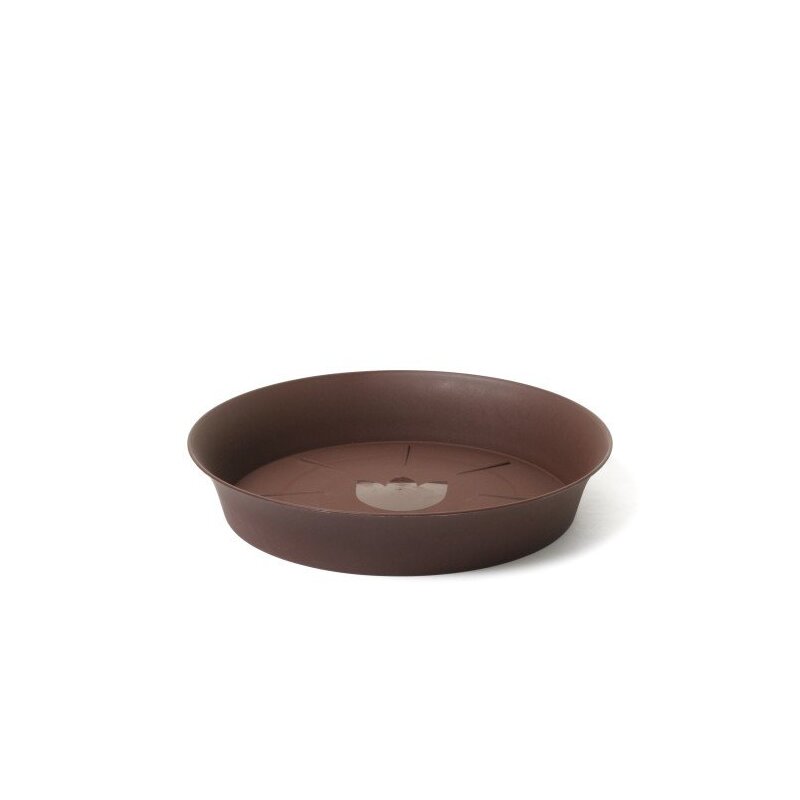 podmiska  Tulipán čokoláda  16 cm