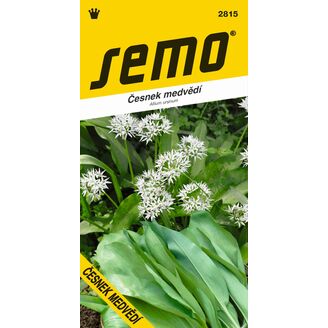 Česnek MEDVĚDÍ 1g *** ***