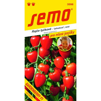 rajče MINIGELBUS F1 40s. *** **