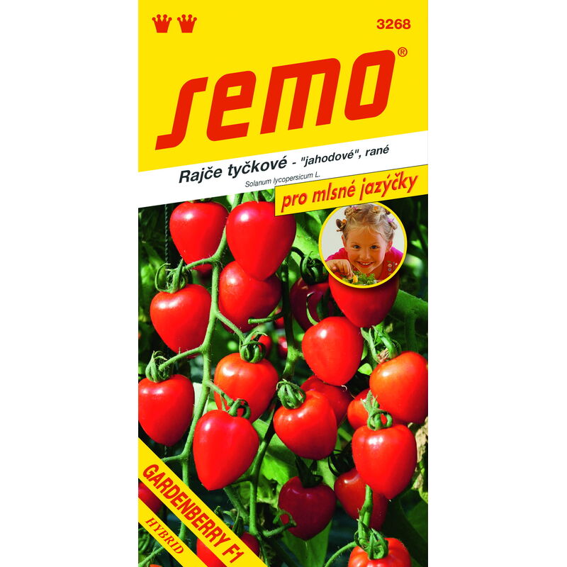 rajče MINIGELBUS F1 40s. *** **