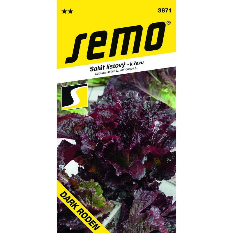 salát DARK RODEN 0,6g **