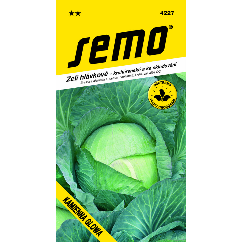 zelí KAMIENNA GLOWA 0,8g **