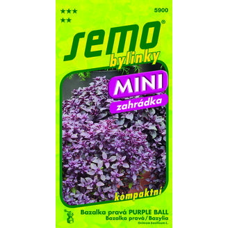 Bazalka pravá PURPLE BALL 20sem. *** **