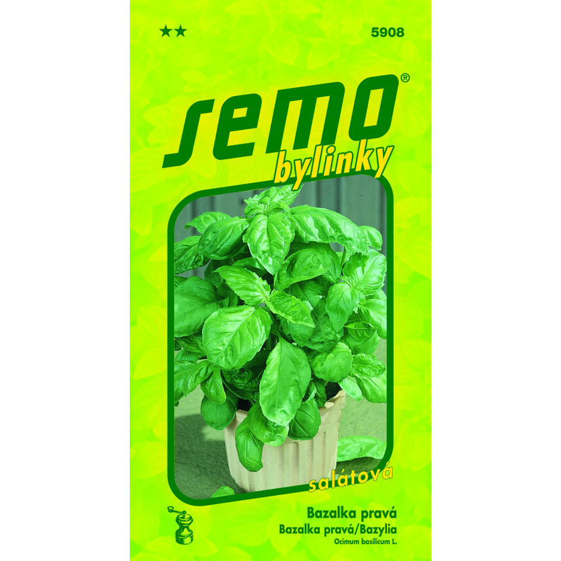 bazalka LETTUCE LEAF  1g **