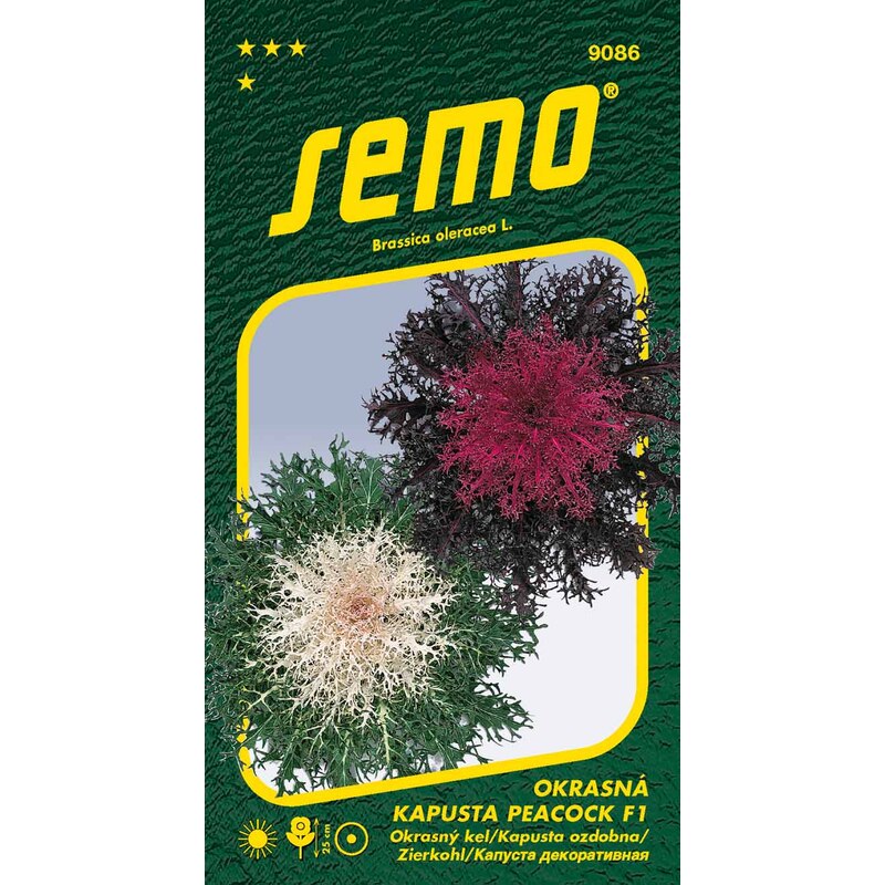 kapusta okrasná PEACOCK mix 20s. *** *