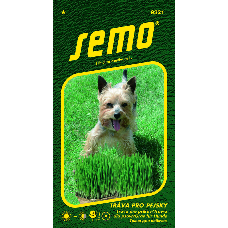 tráva pro PEJSKY 10g *
