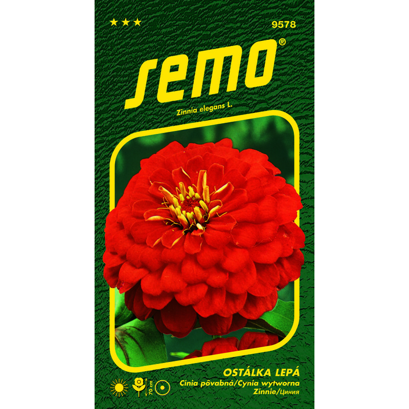ostálka lepá CHERRY QUEEN 0,7g ***