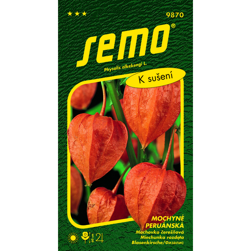 mochyně peruánská ORANŽOVÁ ***