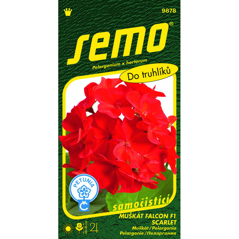 Muškát páskatý FALCON SCARLET F1 9s. *** ***