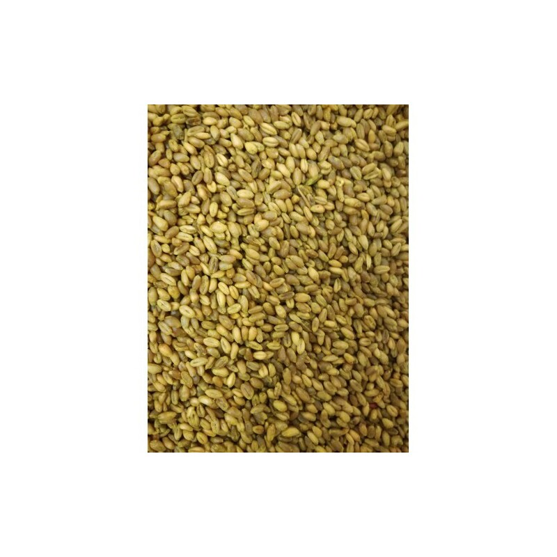 STOP škůdcům ZRNO - 500g  