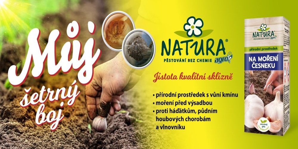 Moření česneku NATURA